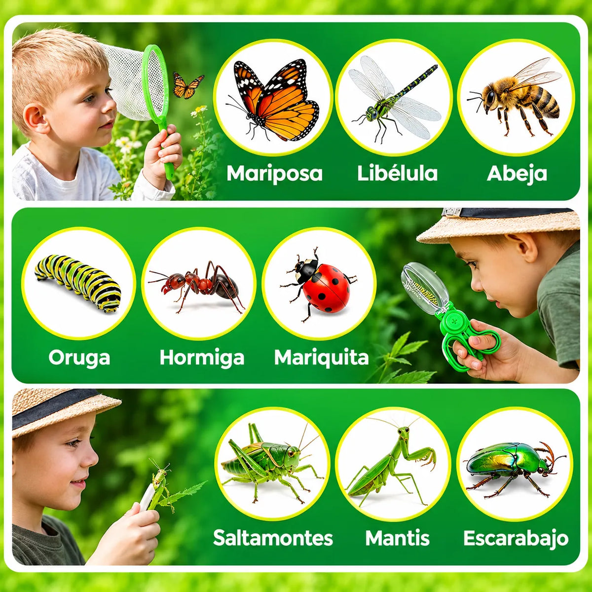 🌿BugExplorer Pro™ Kit de Exploración de Insectos