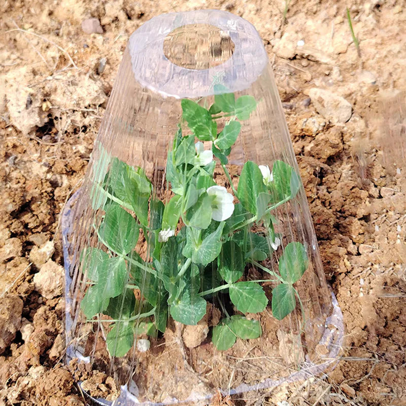 TerraCap™ Cubierta Protectora Vegetal Paquete x 10