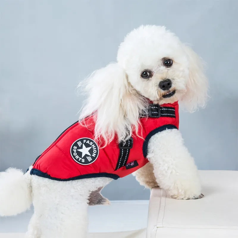 Chaqueta impermeable para perros