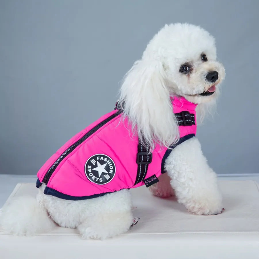 Chaqueta impermeable para perros
