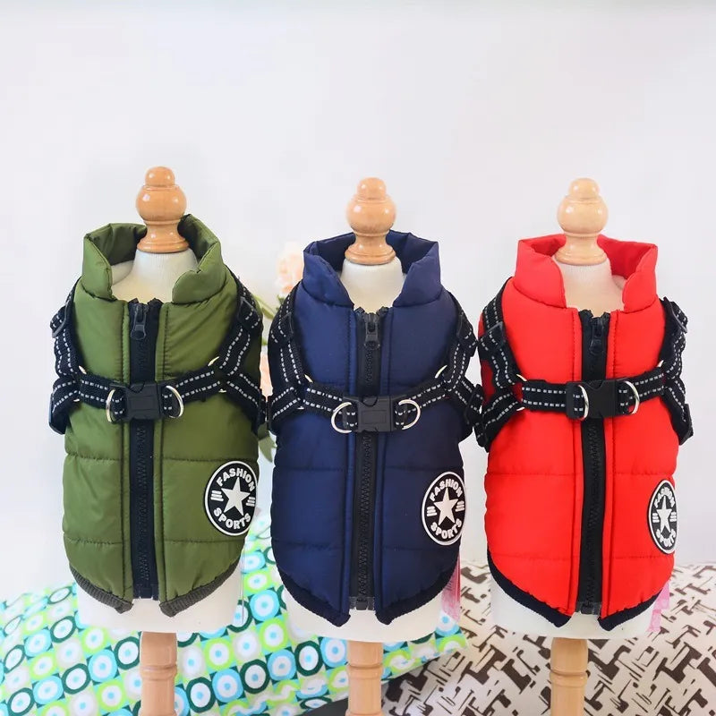 Chaqueta impermeable para perros