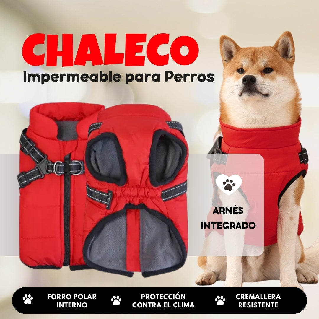 Chaqueta impermeable para perros