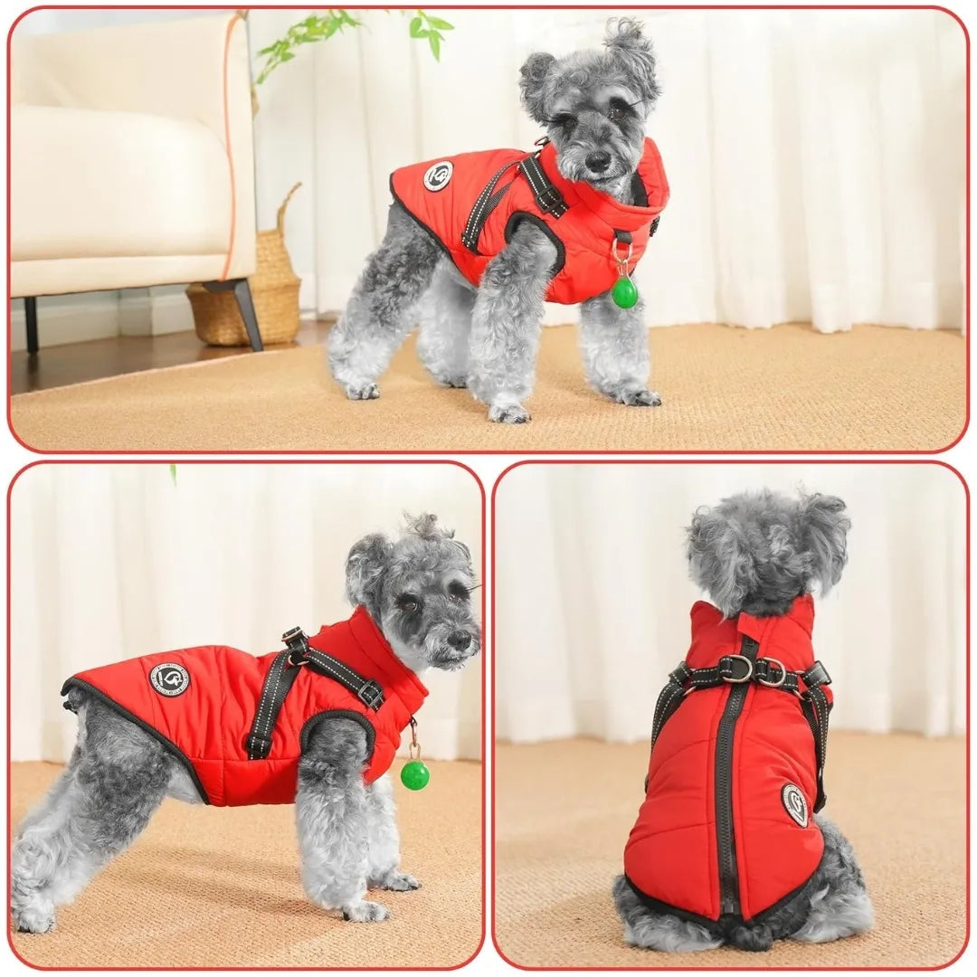 Chaqueta impermeable para perros