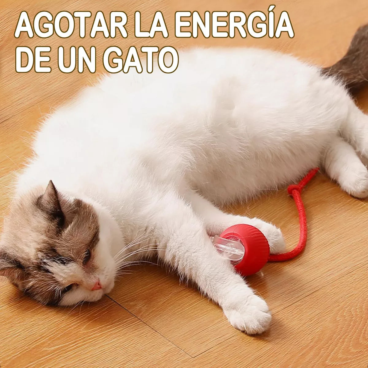 JumpCat® Juguete Interactivo para Gatos