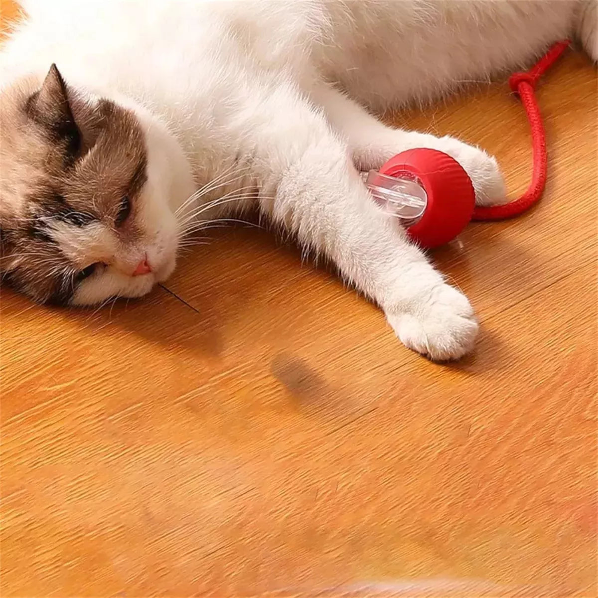 JumpCat® Juguete Interactivo para Gatos