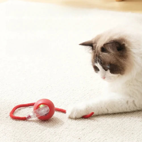 JumpCat® Juguete Interactivo para Gatos