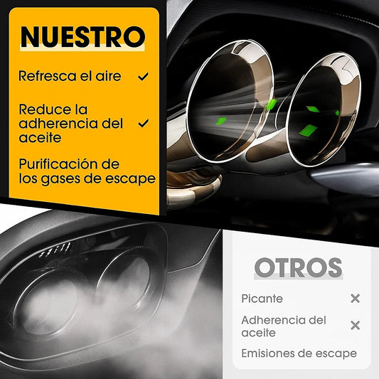 PowerBoost™ Limpiador de Catalizador