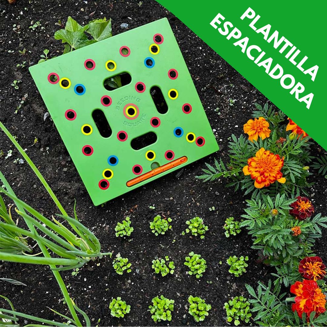 GrowGrid® Plantilla Espaciadora de Semillas