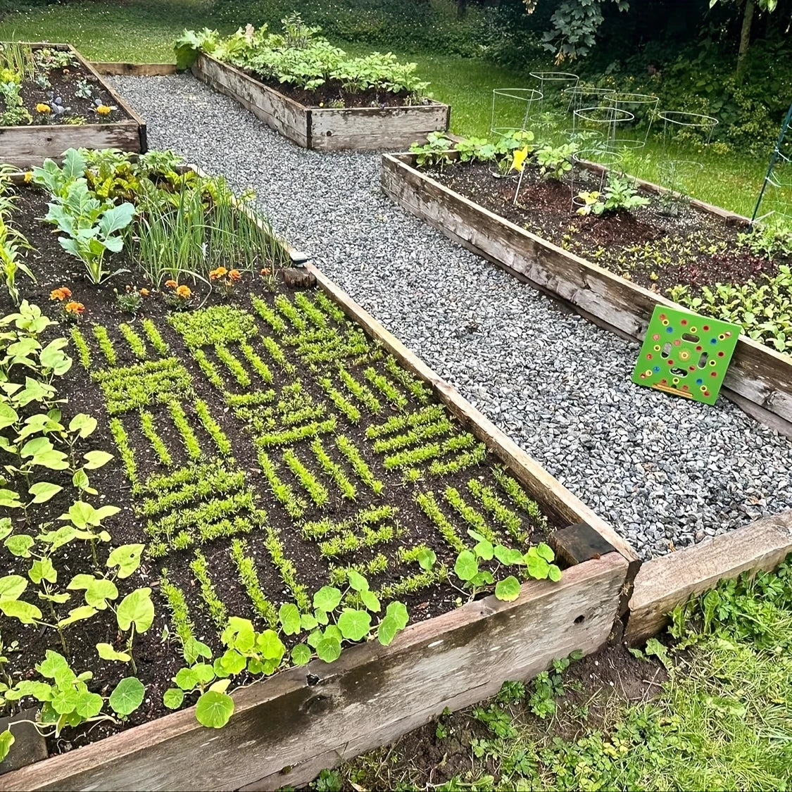 GrowGrid® Plantilla Espaciadora de Semillas