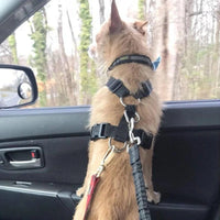 PawSafe® - Cinturon de seguridad para perros