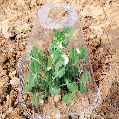 TerraCap™ Cubierta Protectora Vegetal Paquete x 10