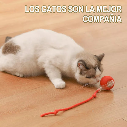 JumpCat® Juguete Interactivo para Gatos