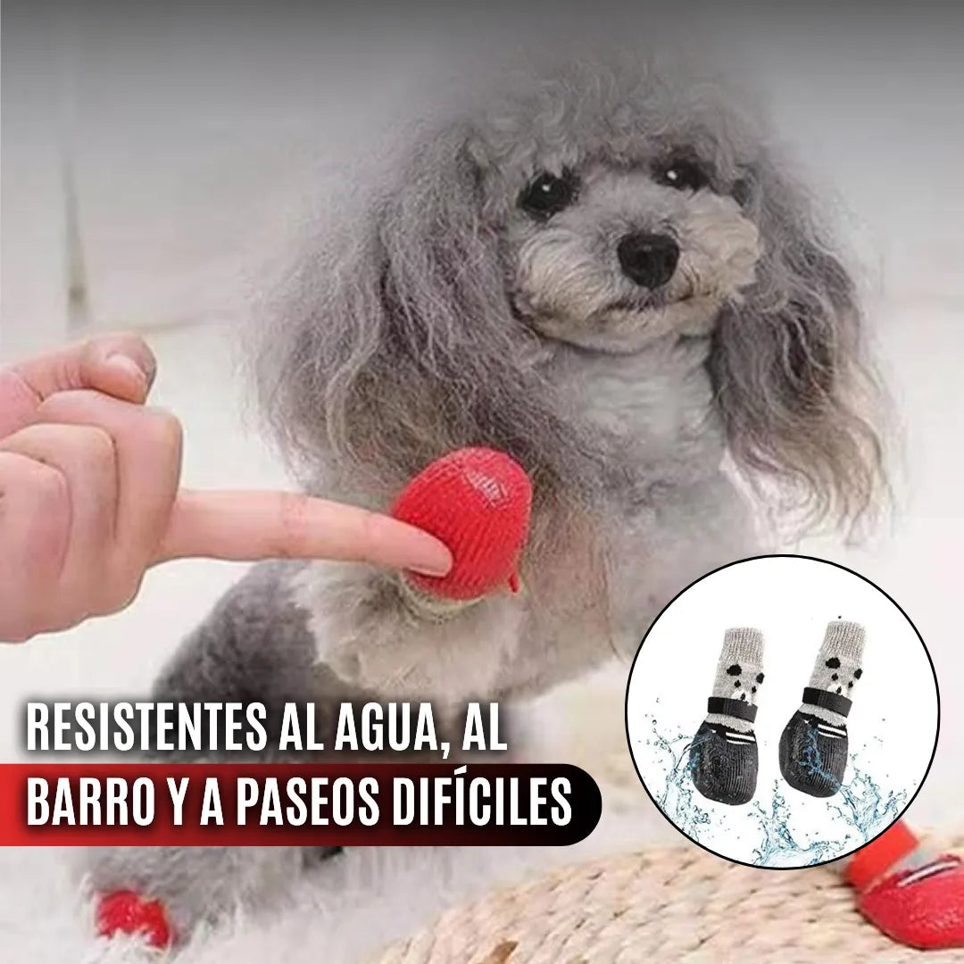 TinyToes™ Botas Impermeables para Mascotas