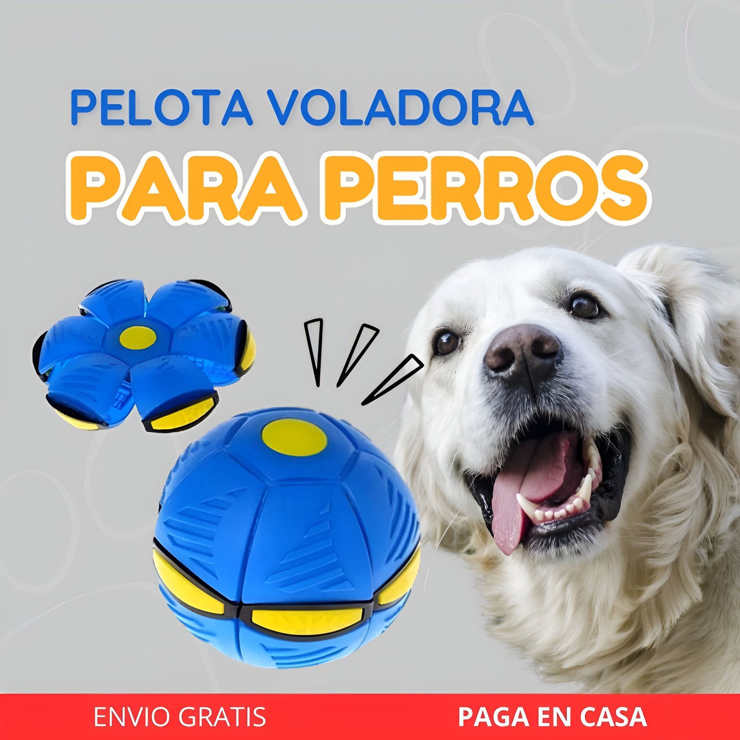 Pelota Voladora para Perros